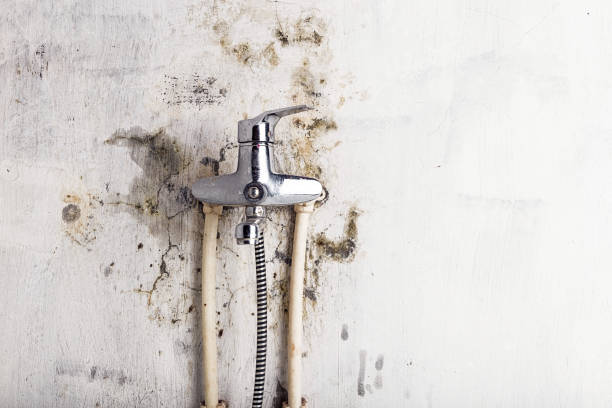 Best Industrial Mold Remediation in Stromsburg, NE
