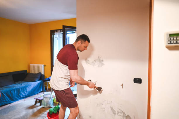 Best Commercial Mold Remediation in Stromsburg, NE